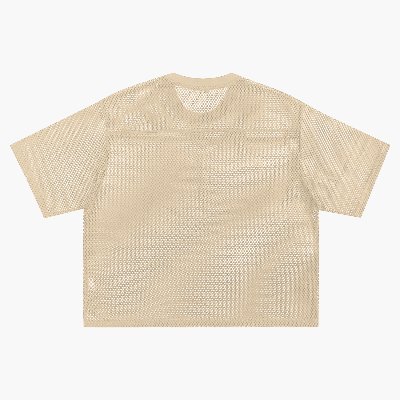 DRAYLO See-through Boxy Net T-Shirt